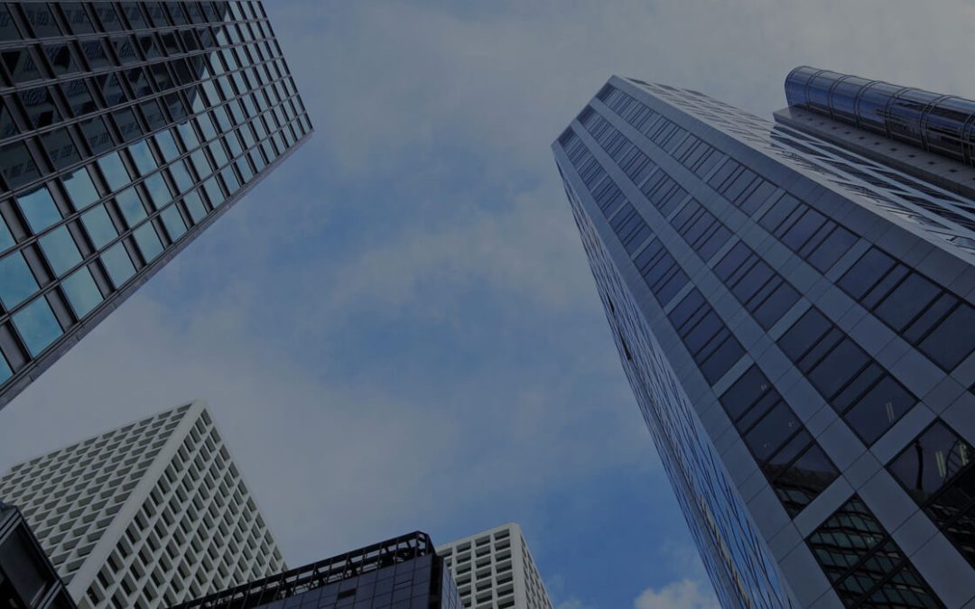 Maximising Your Property Investment: Trust vs Company – Which Structure is Right for You?