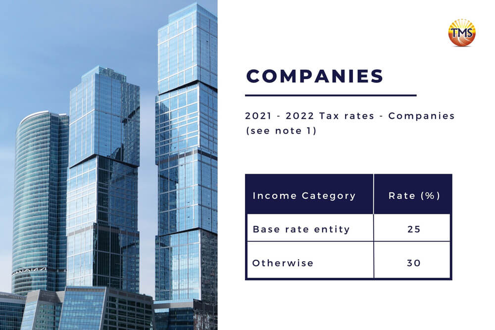 Trust vs Company - Which Structure is Right for You?