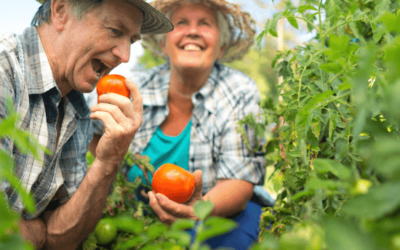 Understanding the bring forward rule for better retirement planning